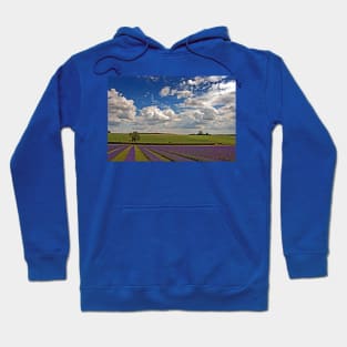 Lavender Field Purple Flowers Cotswolds England Hoodie